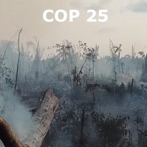 cambio climático